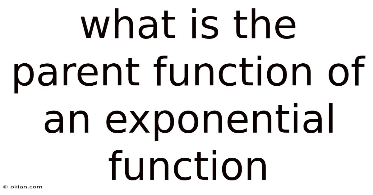 What Is The Parent Function Of An Exponential Function