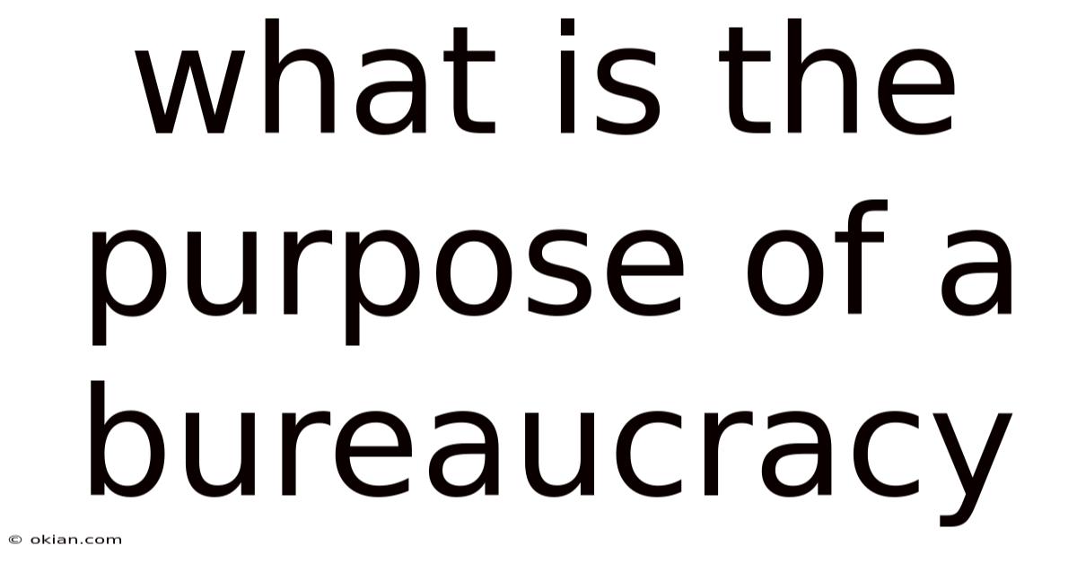 What Is The Purpose Of A Bureaucracy