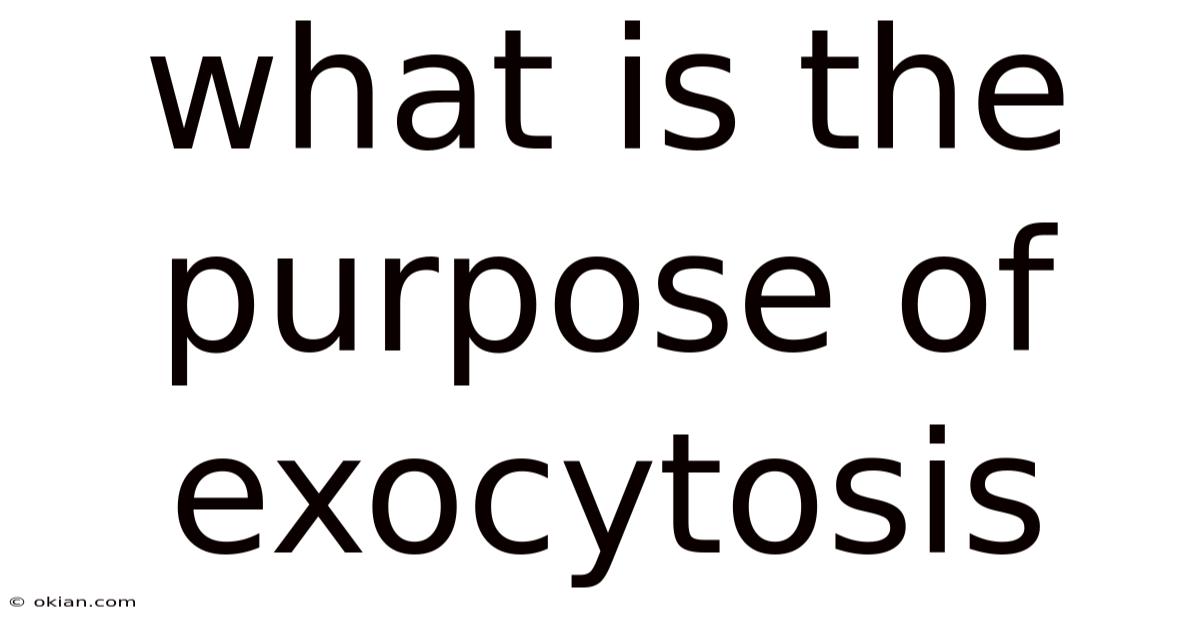 What Is The Purpose Of Exocytosis