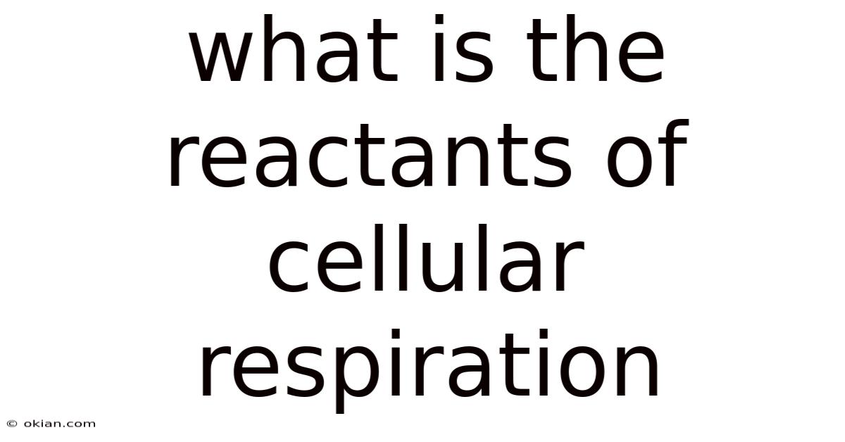 What Is The Reactants Of Cellular Respiration