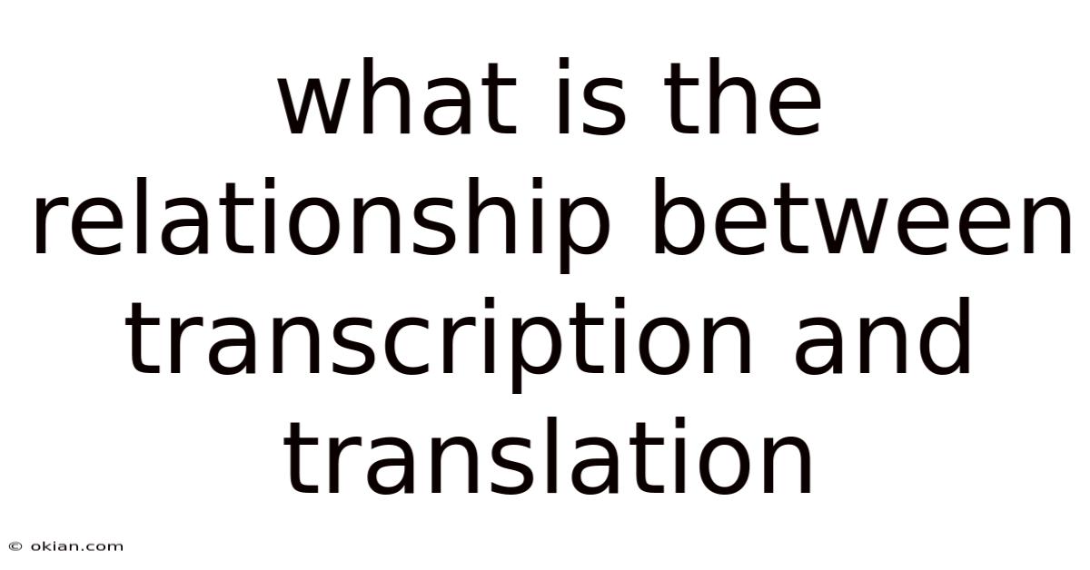 What Is The Relationship Between Transcription And Translation