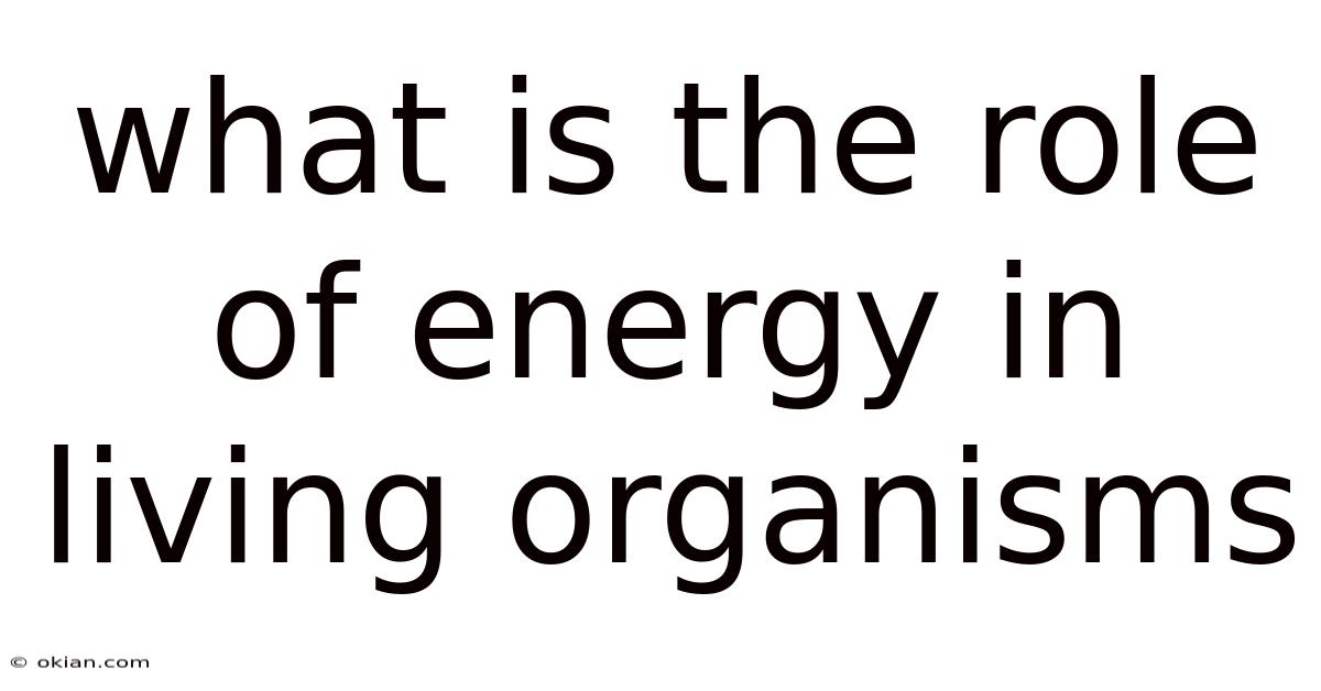What Is The Role Of Energy In Living Organisms