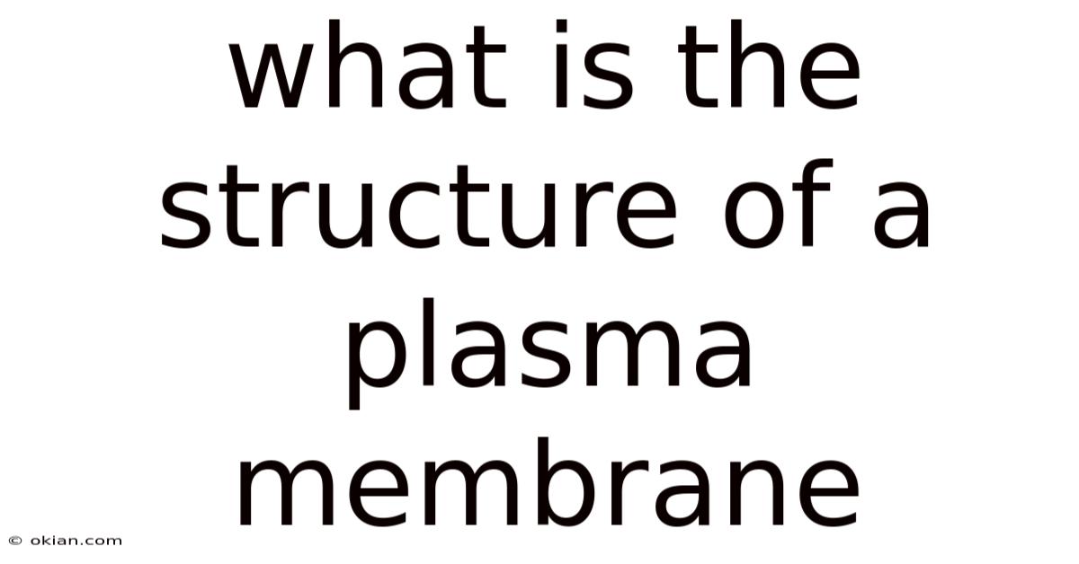 What Is The Structure Of A Plasma Membrane