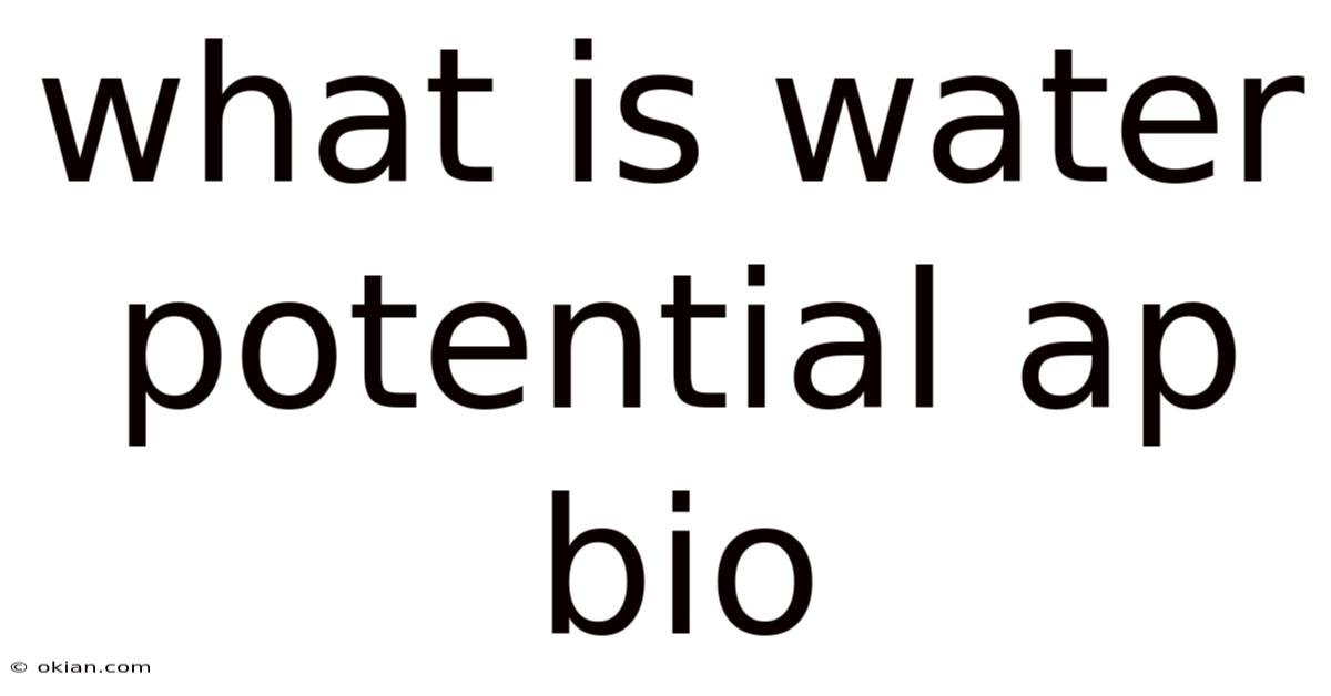 What Is Water Potential Ap Bio