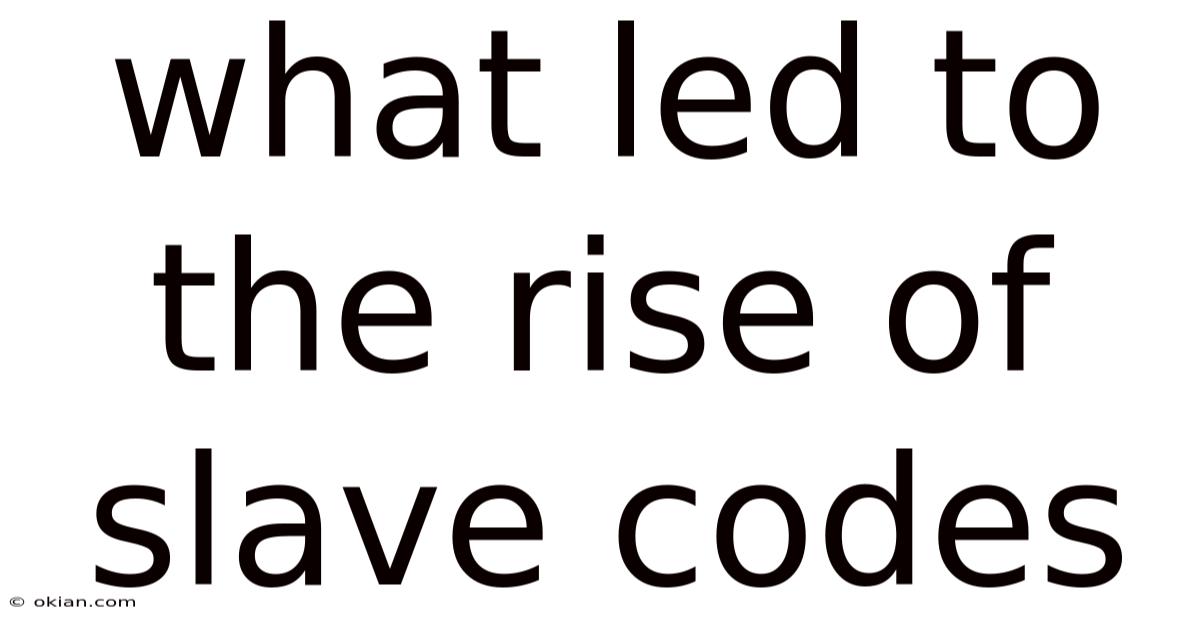 What Led To The Rise Of Slave Codes