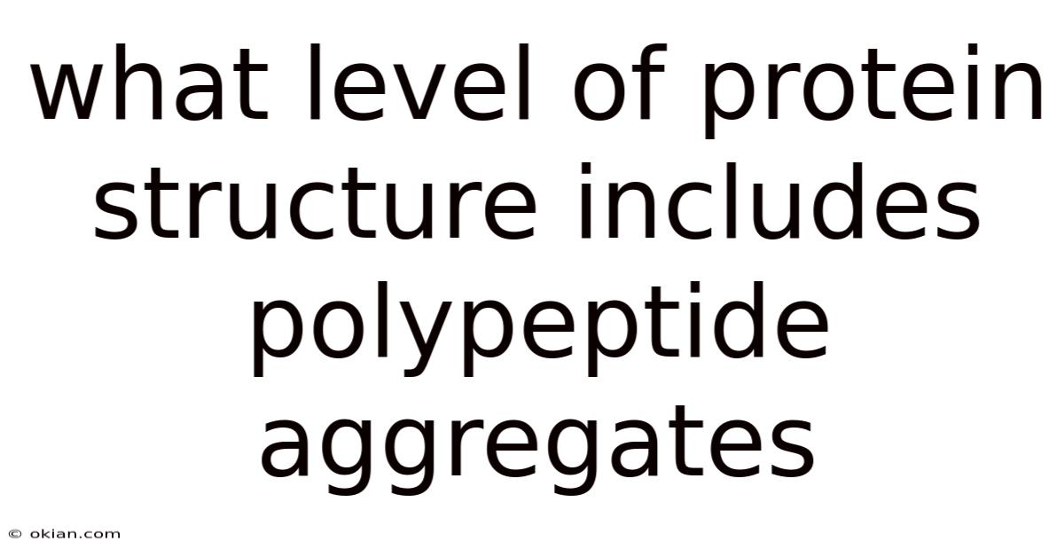What Level Of Protein Structure Includes Polypeptide Aggregates
