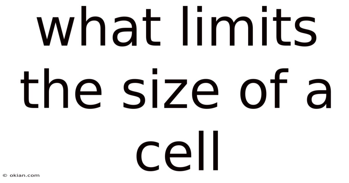 What Limits The Size Of A Cell