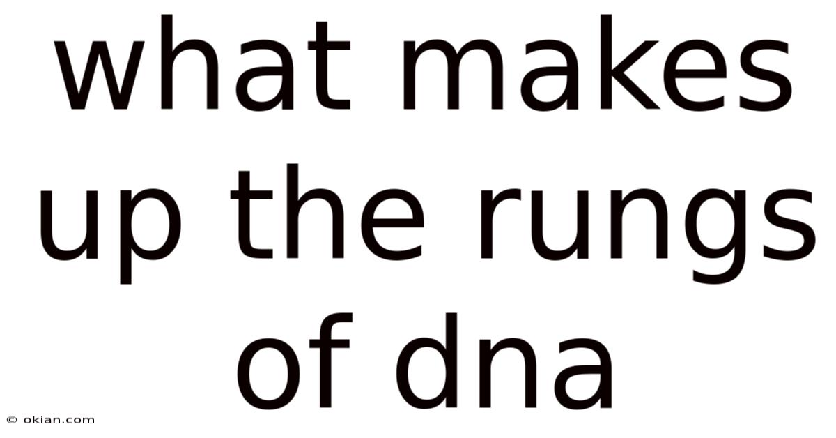 What Makes Up The Rungs Of Dna