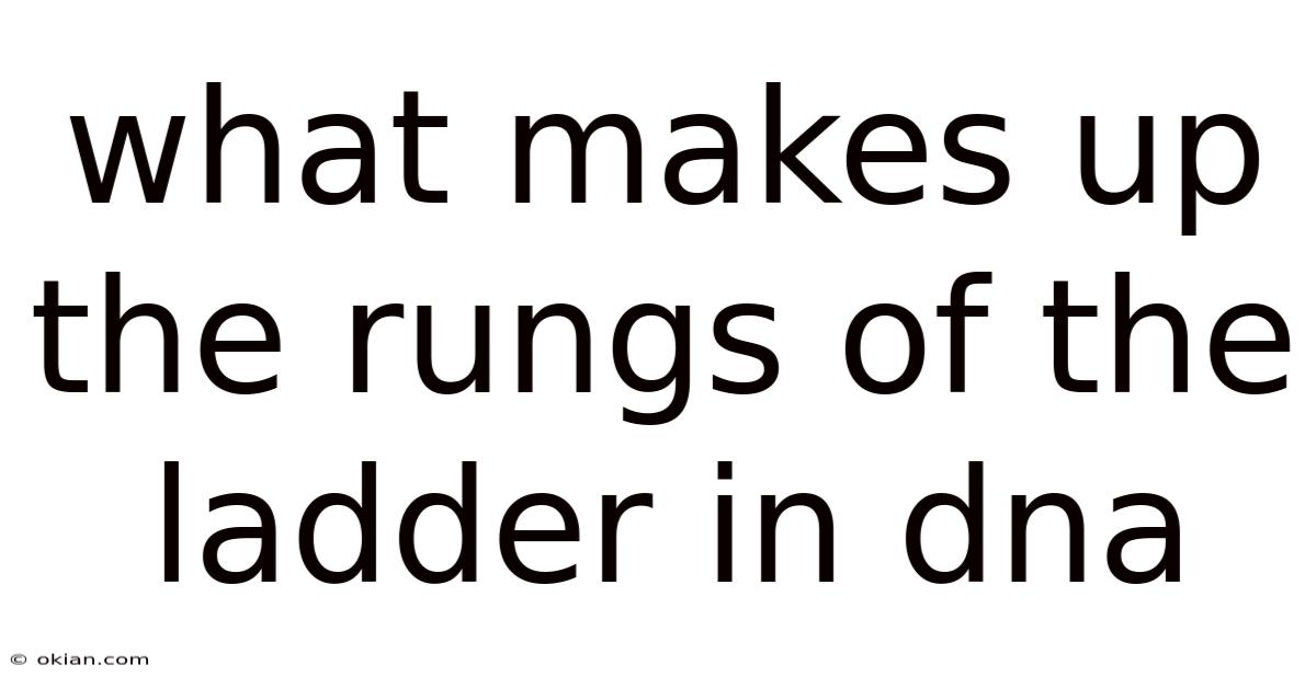 What Makes Up The Rungs Of The Ladder In Dna