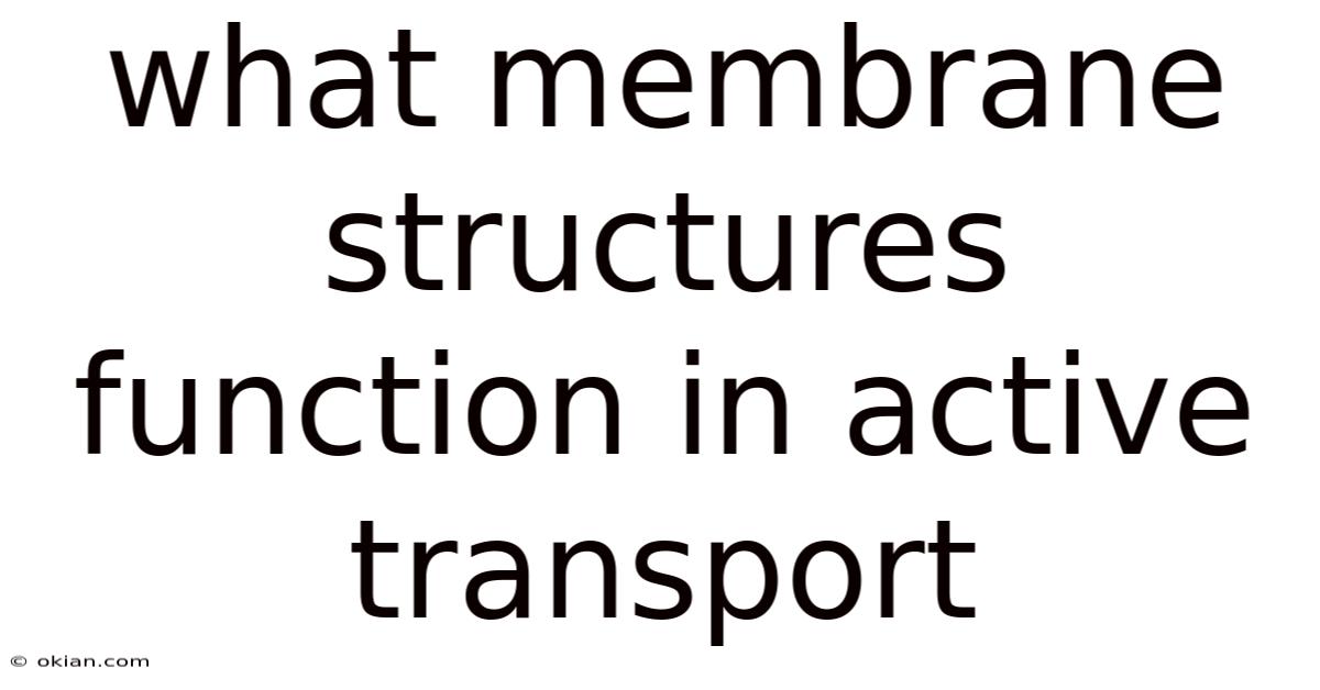 What Membrane Structures Function In Active Transport