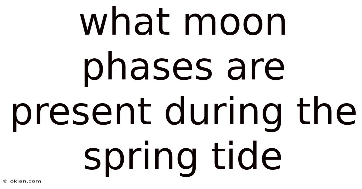 What Moon Phases Are Present During The Spring Tide