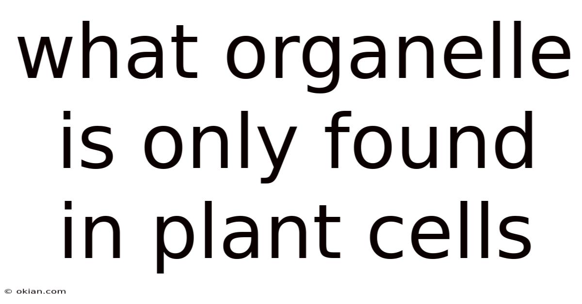 What Organelle Is Only Found In Plant Cells