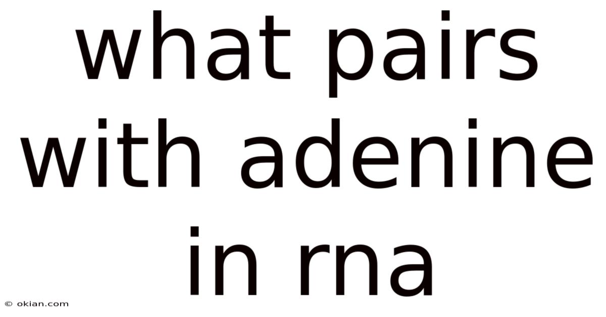What Pairs With Adenine In Rna