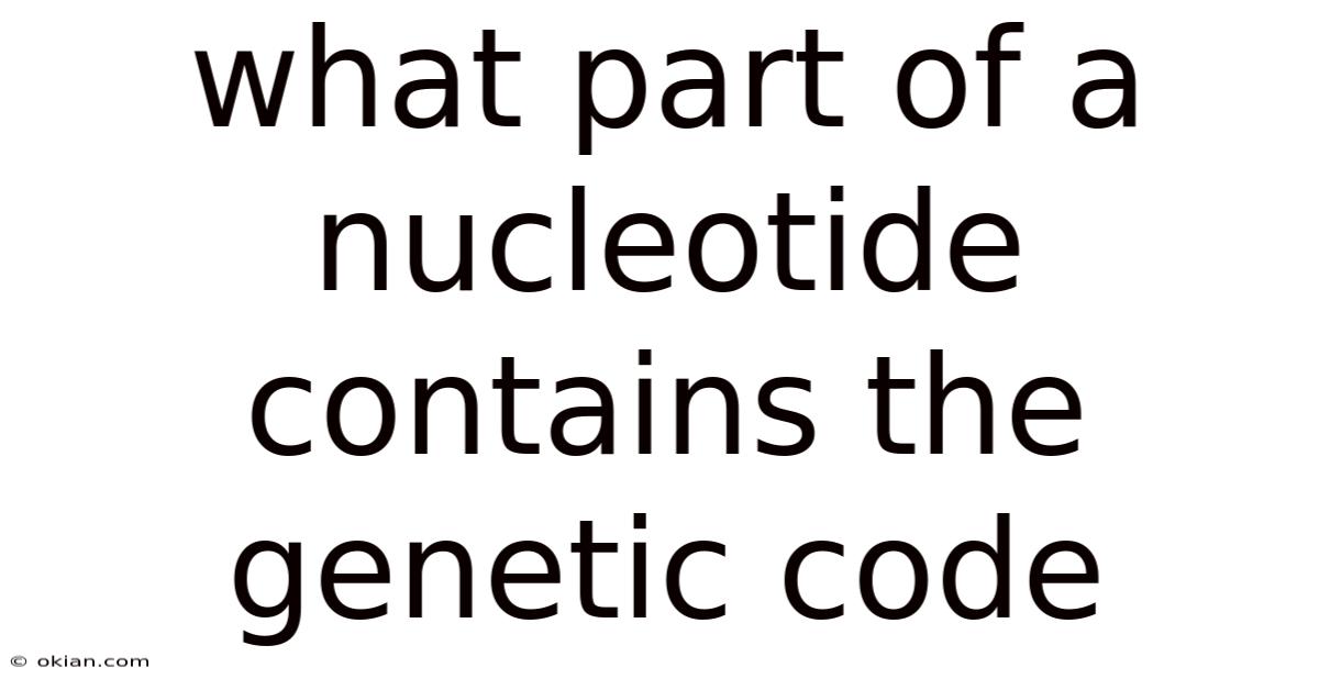 What Part Of A Nucleotide Contains The Genetic Code