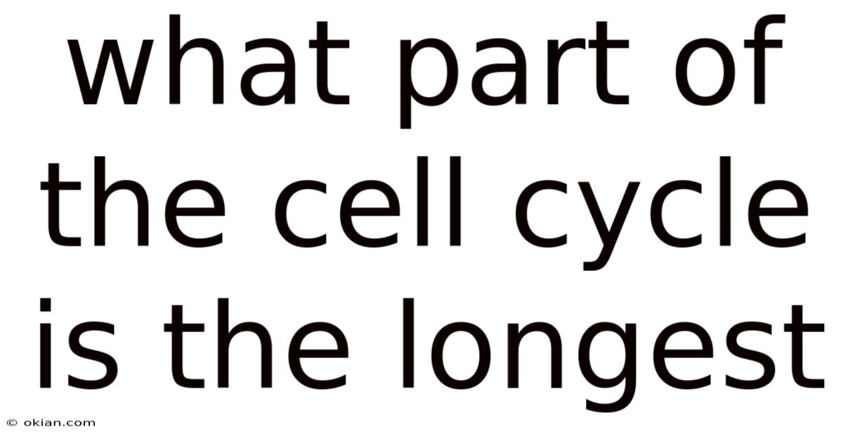 What Part Of The Cell Cycle Is The Longest