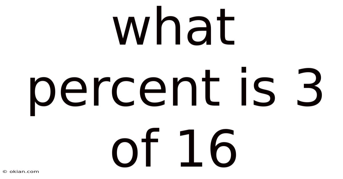 What Percent Is 3 Of 16