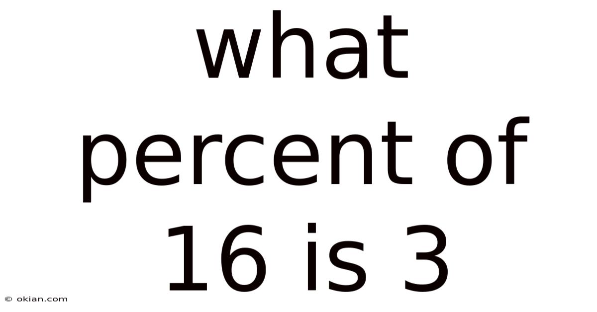 What Percent Of 16 Is 3