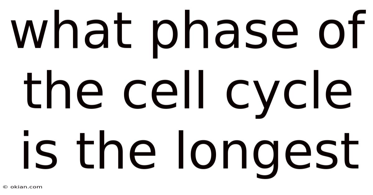 What Phase Of The Cell Cycle Is The Longest