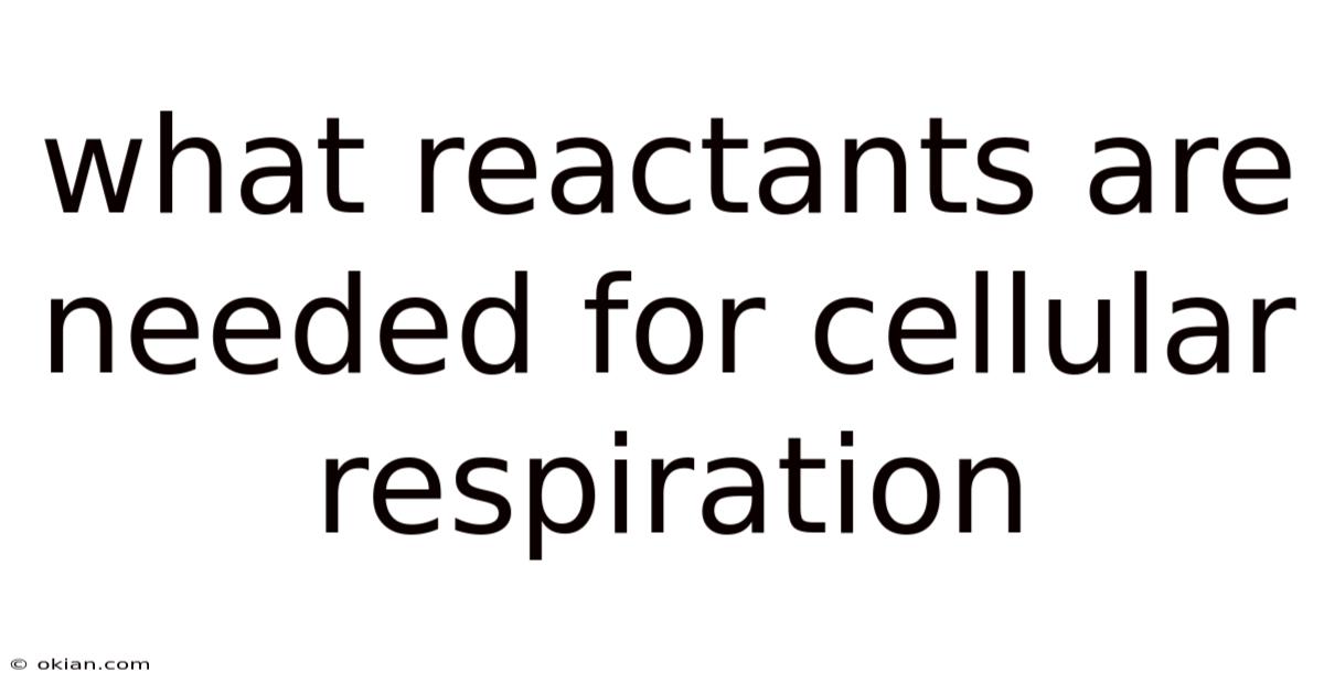What Reactants Are Needed For Cellular Respiration