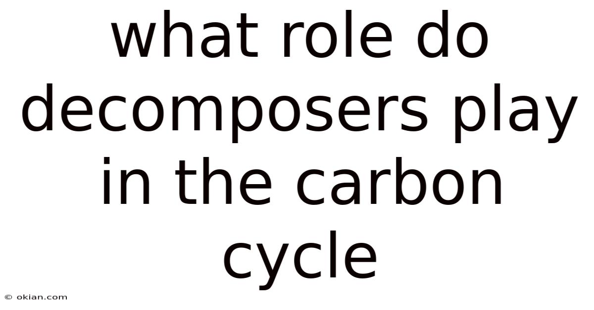 What Role Do Decomposers Play In The Carbon Cycle