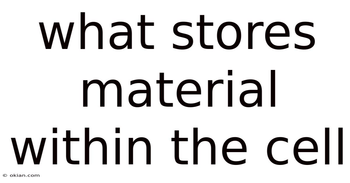 What Stores Material Within The Cell