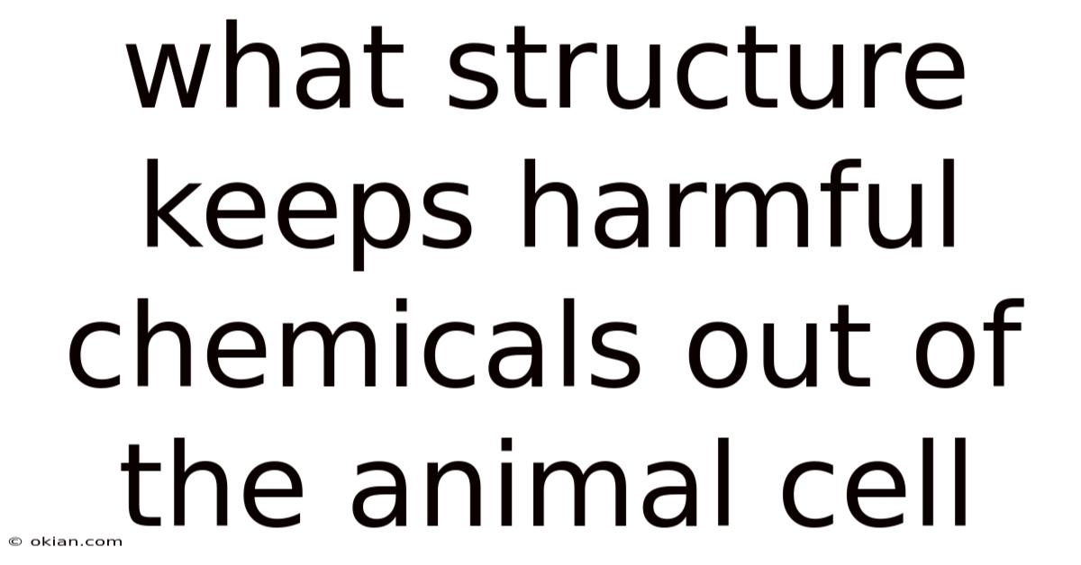 What Structure Keeps Harmful Chemicals Out Of The Animal Cell