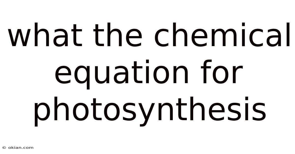 What The Chemical Equation For Photosynthesis