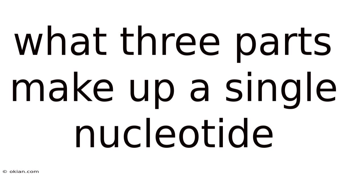 What Three Parts Make Up A Single Nucleotide