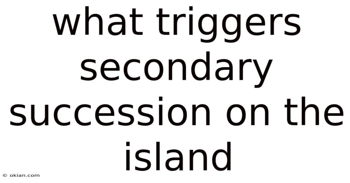 What Triggers Secondary Succession On The Island
