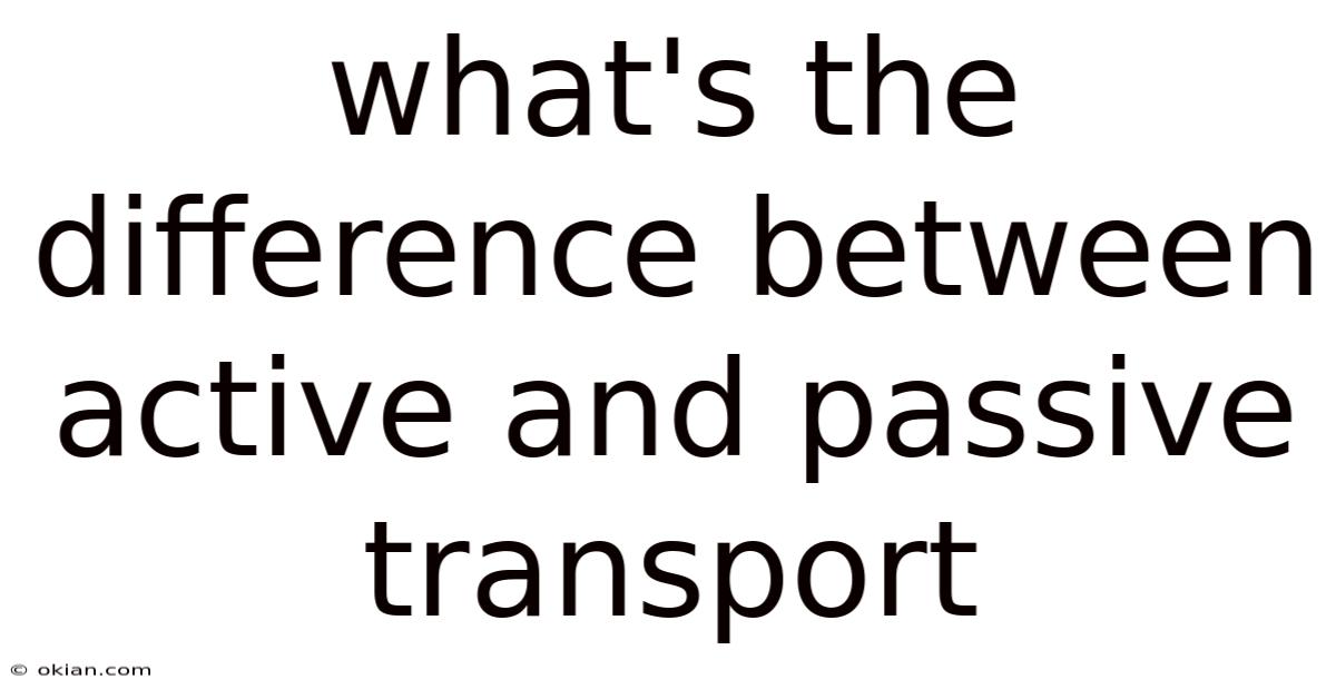 What's The Difference Between Active And Passive Transport