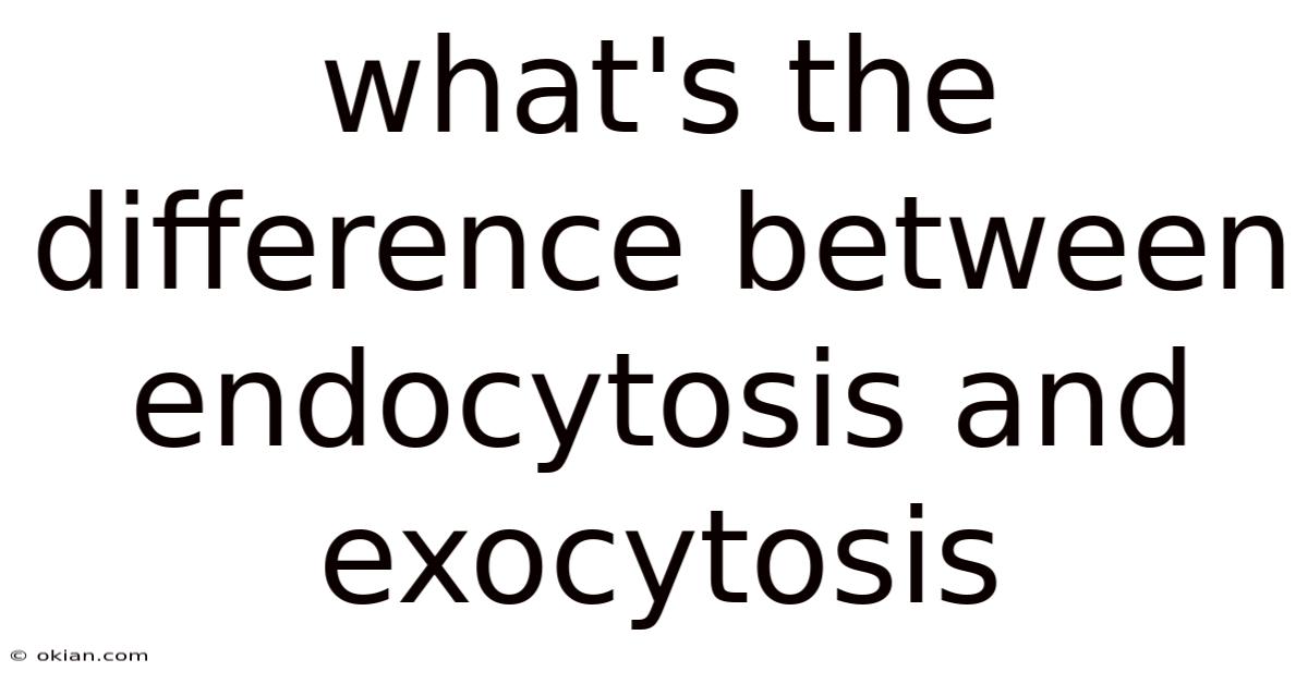 What's The Difference Between Endocytosis And Exocytosis