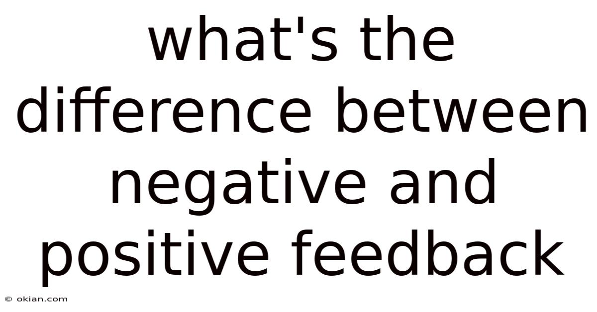 What's The Difference Between Negative And Positive Feedback