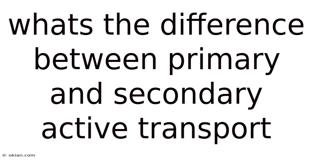Whats The Difference Between Primary And Secondary Active Transport