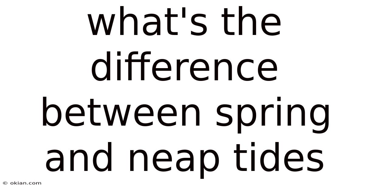 What's The Difference Between Spring And Neap Tides