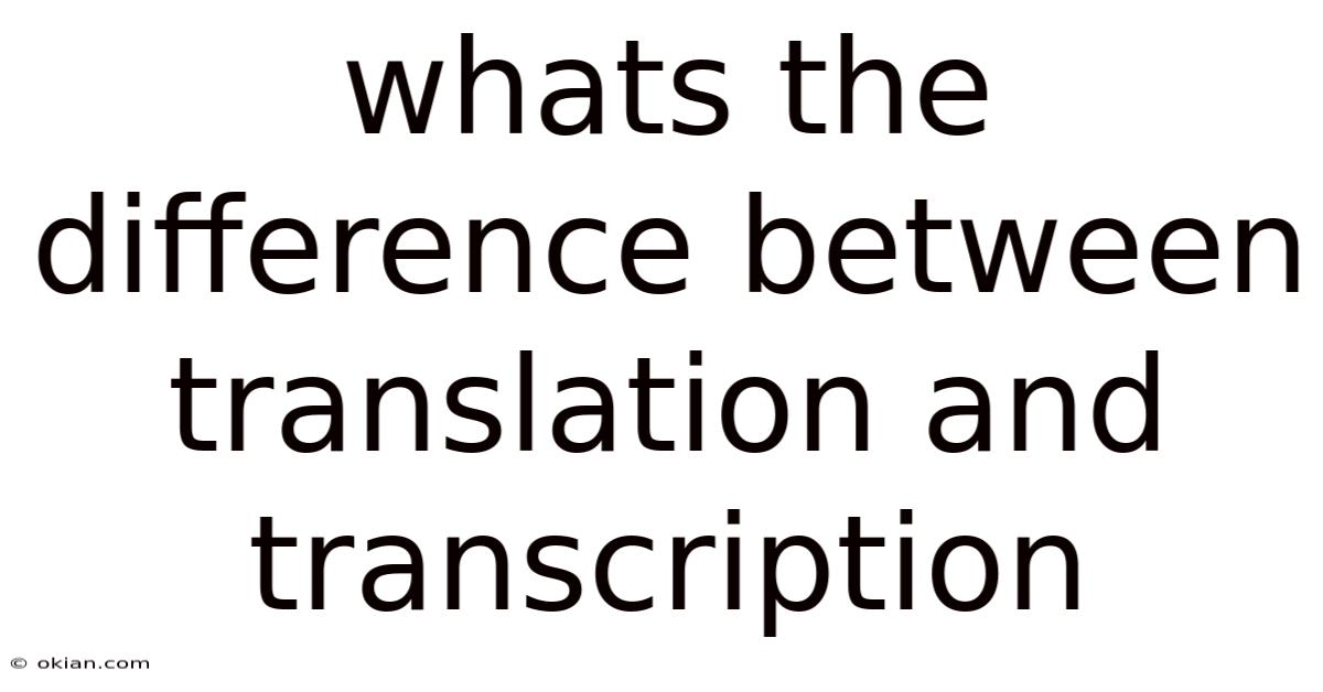 Whats The Difference Between Translation And Transcription