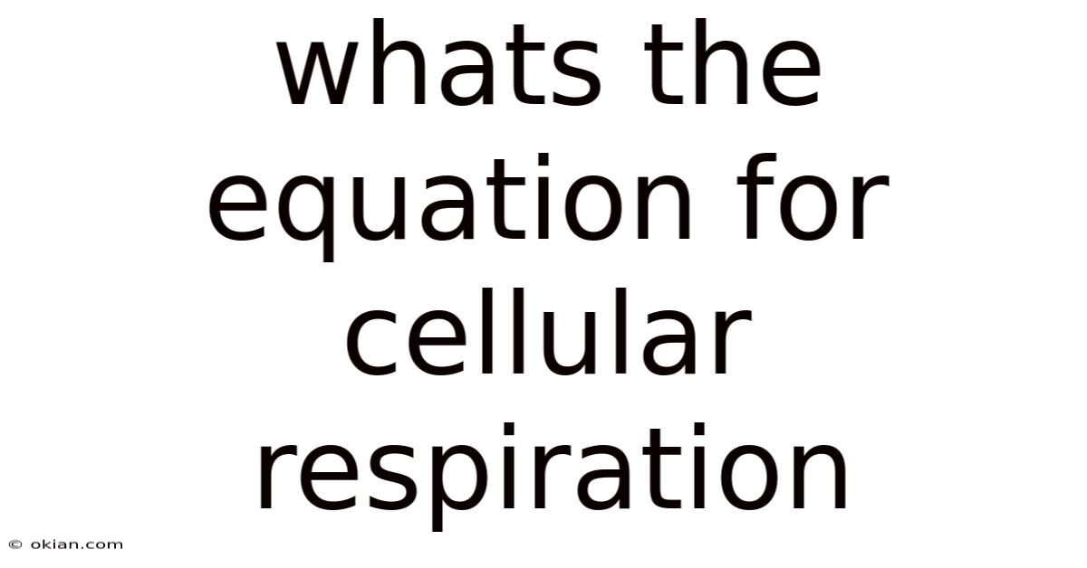 Whats The Equation For Cellular Respiration