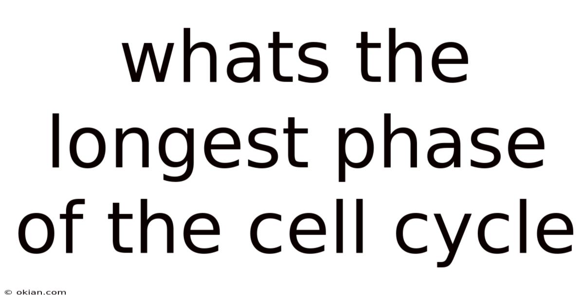 Whats The Longest Phase Of The Cell Cycle