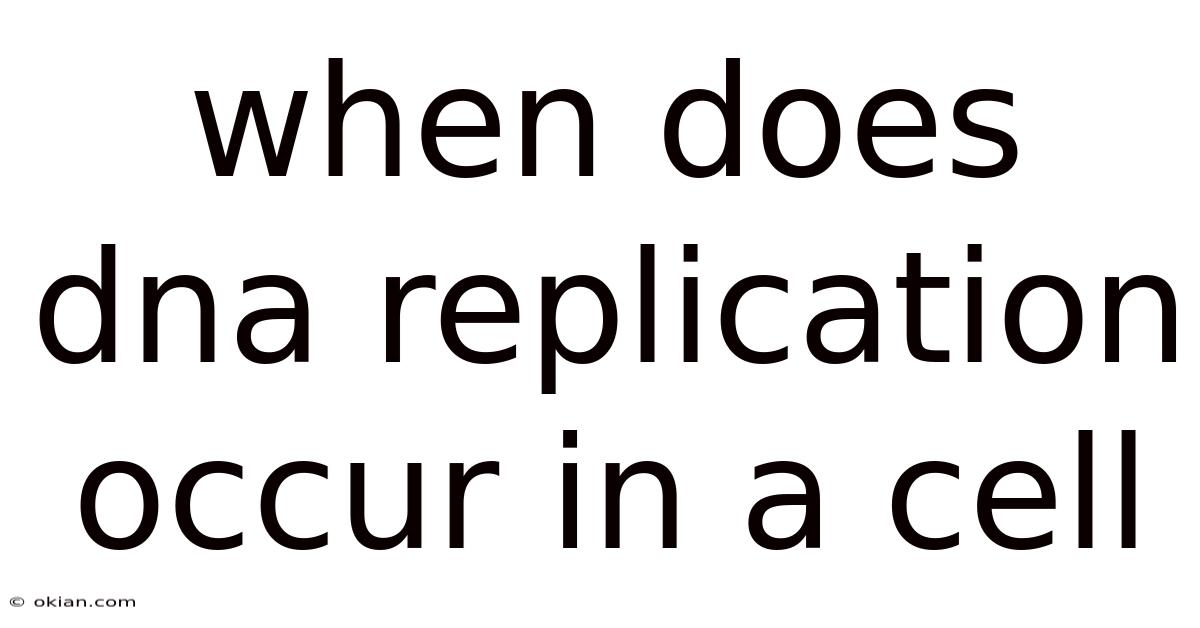 When Does Dna Replication Occur In A Cell