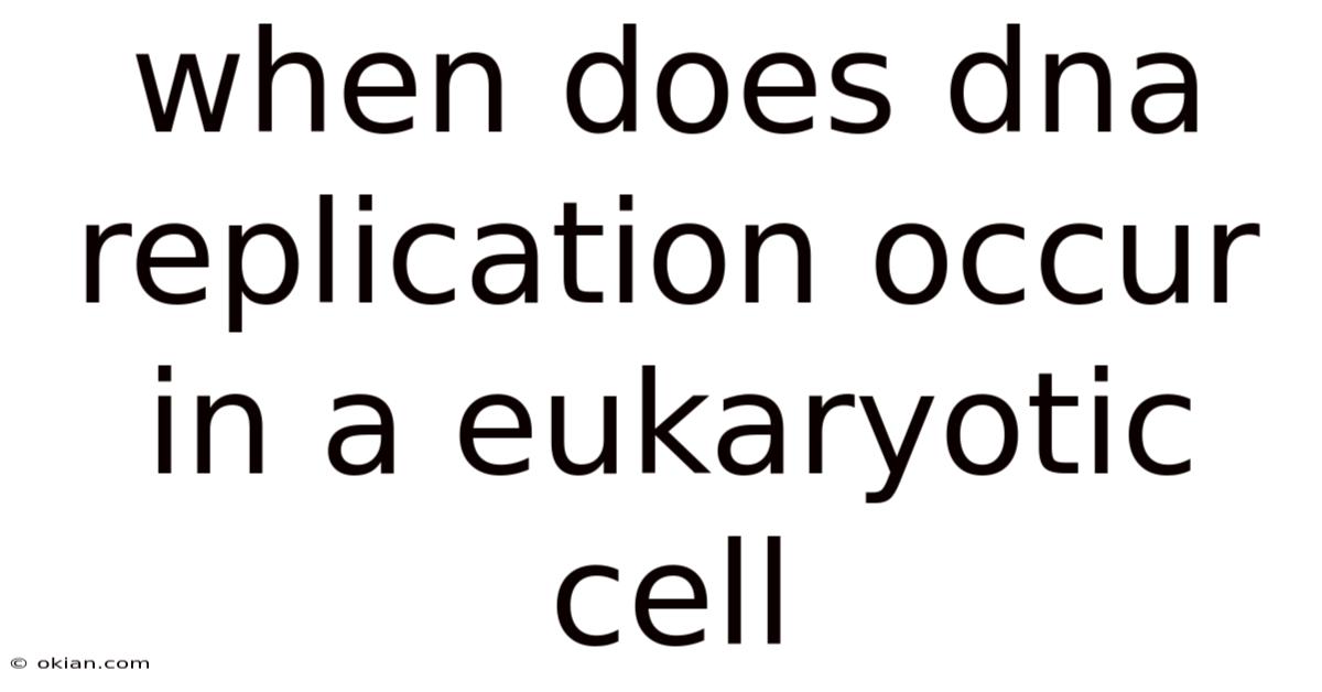 When Does Dna Replication Occur In A Eukaryotic Cell
