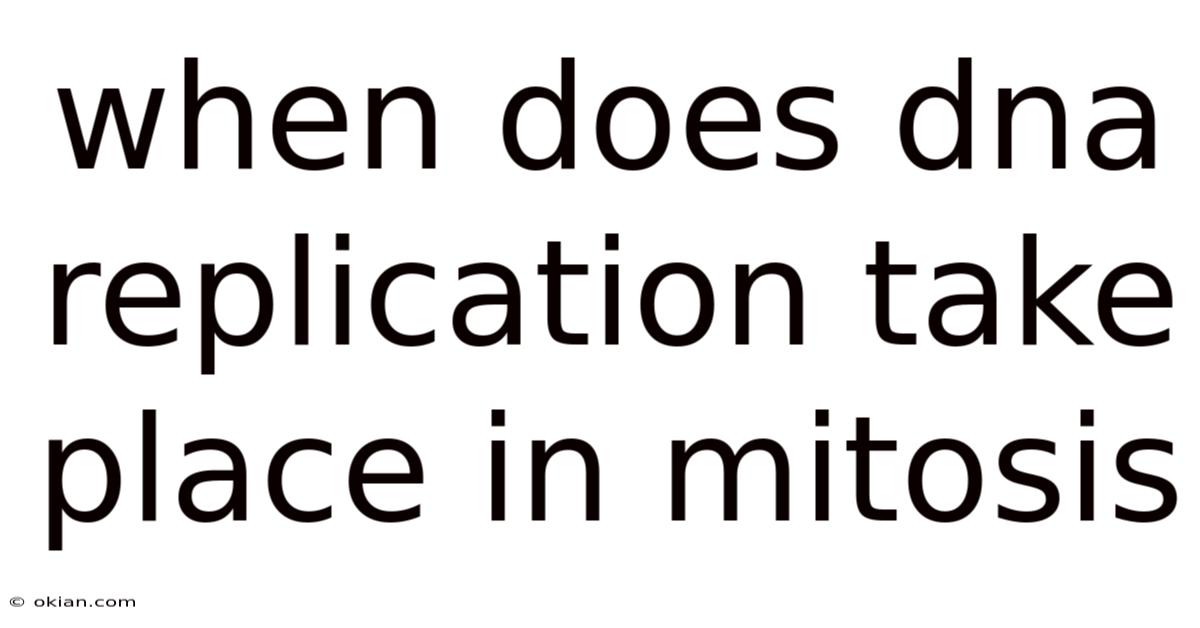 When Does Dna Replication Take Place In Mitosis