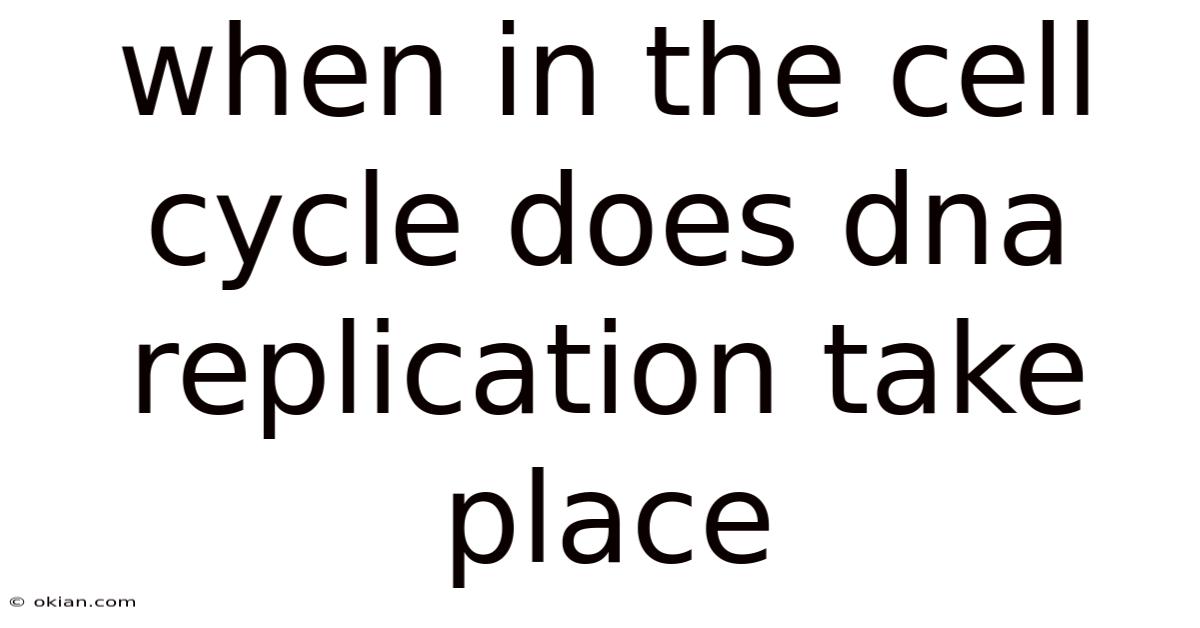When In The Cell Cycle Does Dna Replication Take Place