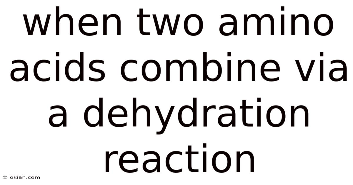When Two Amino Acids Combine Via A Dehydration Reaction