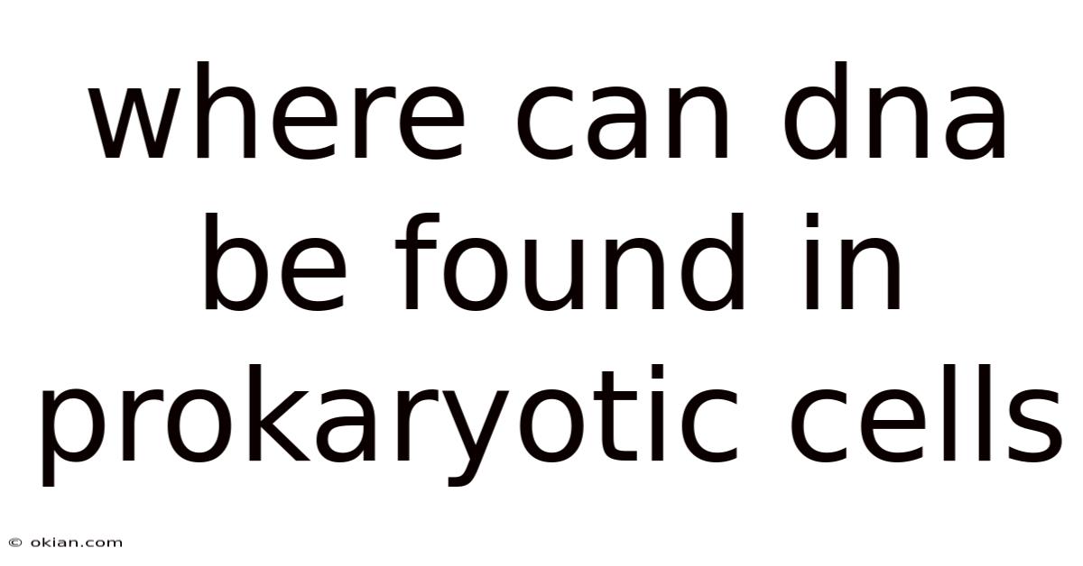 Where Can Dna Be Found In Prokaryotic Cells