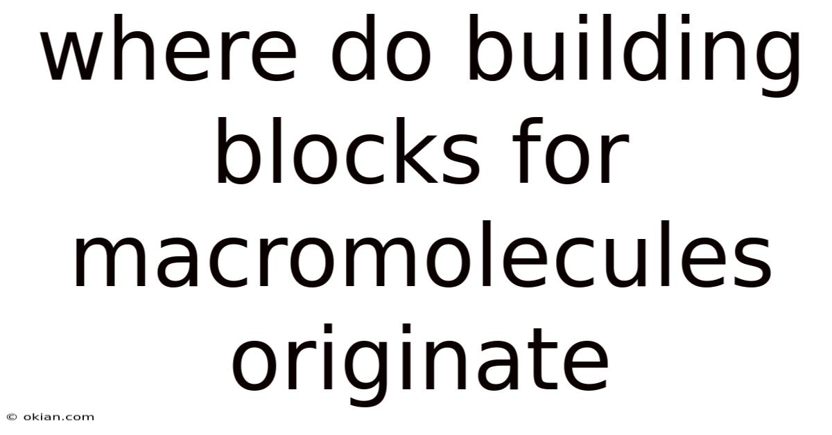 Where Do Building Blocks For Macromolecules Originate