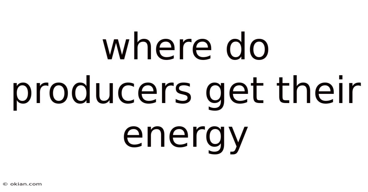 Where Do Producers Get Their Energy