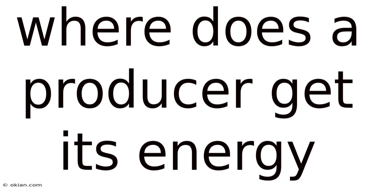 Where Does A Producer Get Its Energy