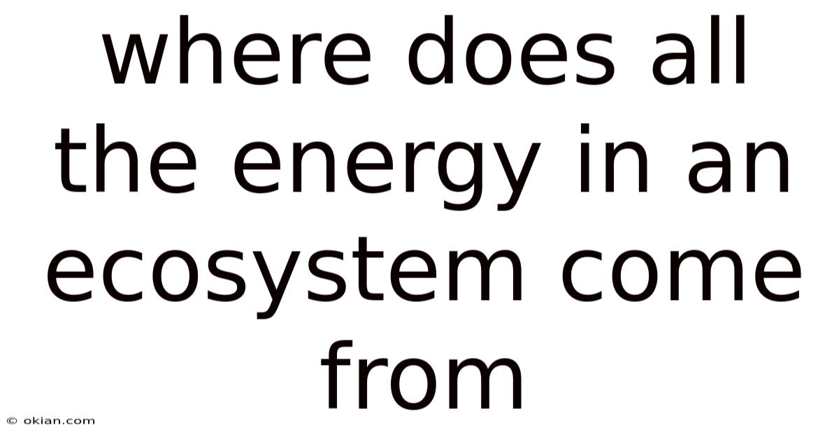 Where Does All The Energy In An Ecosystem Come From