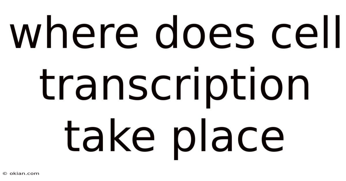 Where Does Cell Transcription Take Place