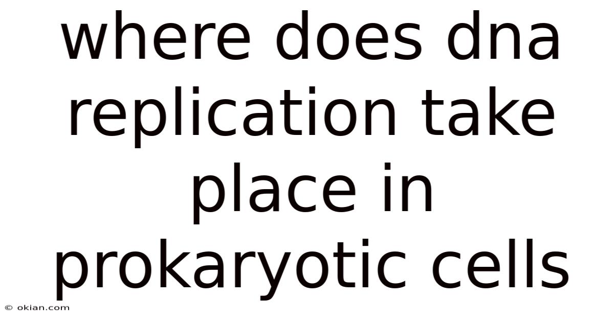 Where Does Dna Replication Take Place In Prokaryotic Cells