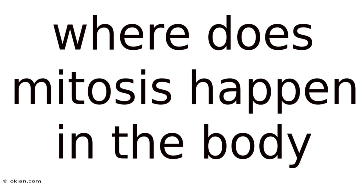 Where Does Mitosis Happen In The Body